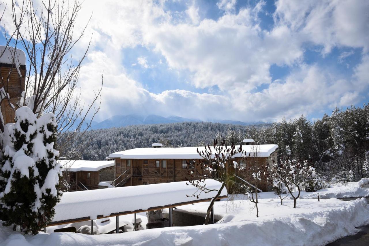 Katarino SPA Hotel Bansko Bagian luar foto